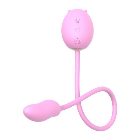 Vibrador e Sugador Porquinho Rosa (1)