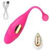 Vibrador Controle Remoto Ovo Para Mulheres Sem Fio Ponto G (5)